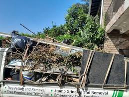 Best Yard Waste Removal  in Rockwood, TN